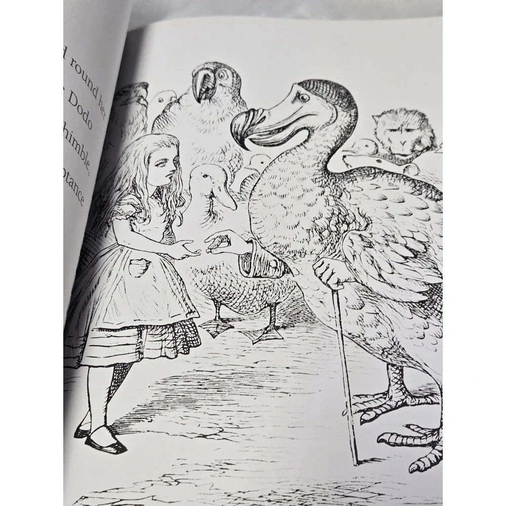 Alice's Adventures in Wonderland Coloring Book John Tenniel Silver Dolphin 2016